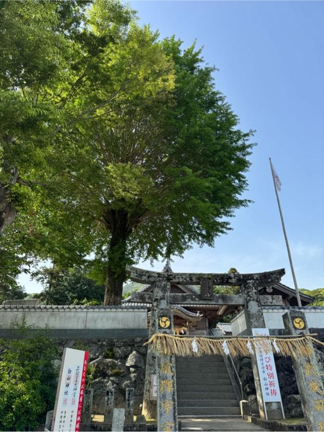 白山神社の参拝記録4