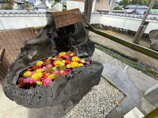 白山神社の参拝記録(てんさん)
