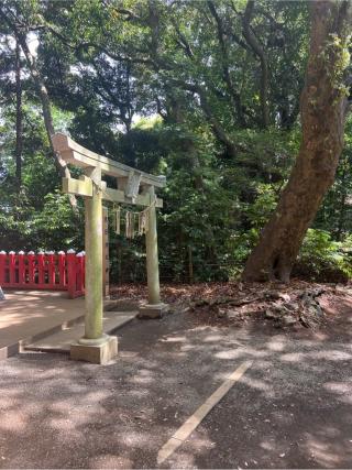 天日津久神社の参拝記録(⛩️🐍🐢まめ🐢🐍⛩️さん)