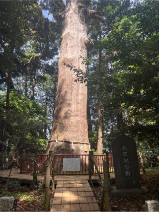 天日津久神社の参拝記録(⛩️🐍🐢まめ🐢🐍⛩️さん)