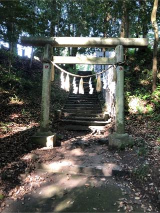 飯能恵比寿神社（諏訪八幡神社摂社）の参拝記録(こーちんさん)