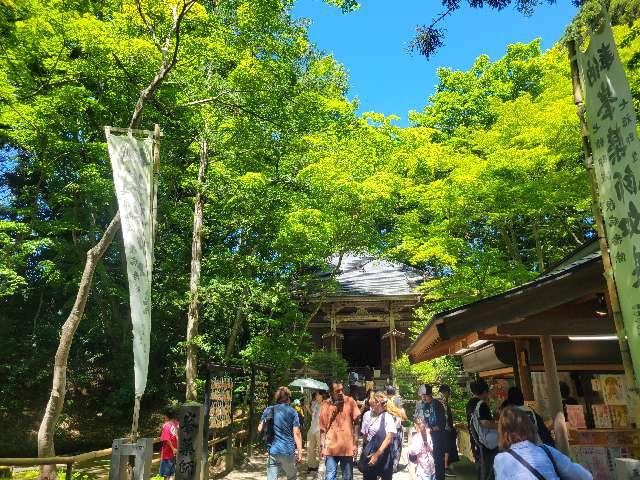 中尊寺 峯薬師堂の参拝記録6