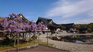 倶利伽羅不動寺(鳳凰殿)の参拝記録(まりりんさん)