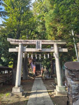 平尾 杉山神社の参拝記録(バッカラさん)