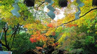 野宮神社の参拝記録(布袋大国さん)
