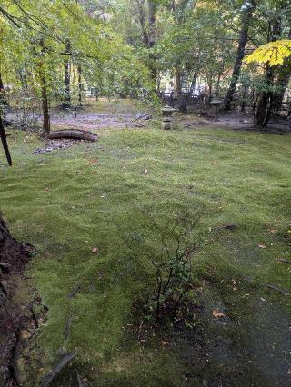 野宮神社の参拝記録(多田照大御神さん)