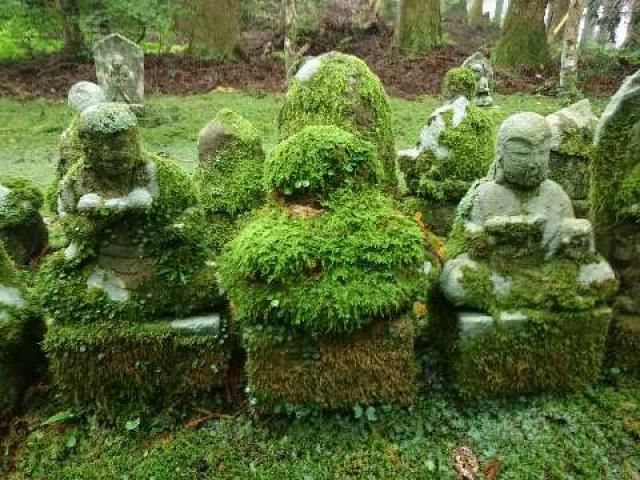 宝蔵院の参拝記録1