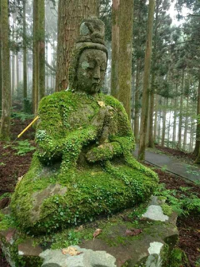 静岡県賀茂郡西伊豆町大沢里 宝蔵院の写真3
