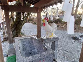 鷲宮神社の参拝記録(みーちさん)