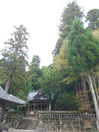 知井八幡神社の参拝記録(かいちゃんさん)