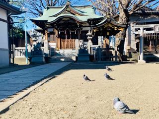 蒲原神社の参拝記録(shikigami_hさん)