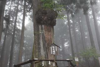 身延山 奥之院 思親閣　(久遠寺)の参拝記録(ユウさん)