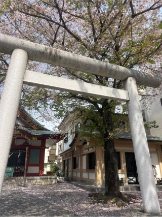浅草富士浅間神社の参拝記録(⛩️🐍🐢まめ🐢🐍⛩️さん)