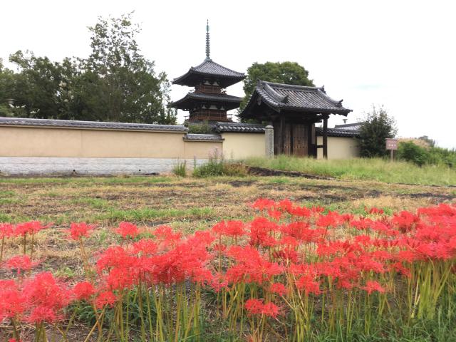 奈良県生駒郡斑鳩町岡本1873 法起寺の写真2