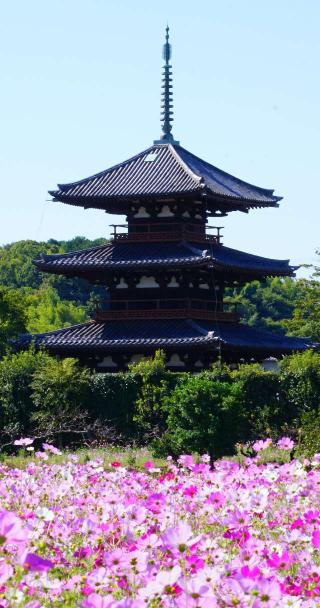 法起寺の参拝記録(布袋大国さん)