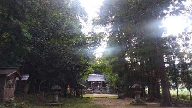 藤社神社の参拝記録6