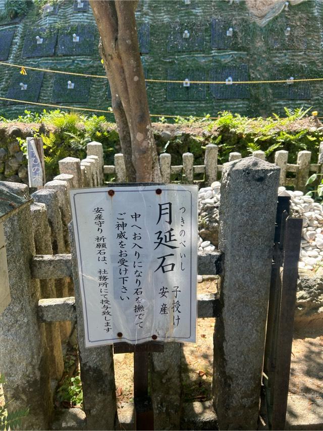 京都府京都市西京区松室山添町１５ 月読神社の写真6