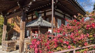 清水寺 善光寺堂の参拝記録(くまたろうさん)