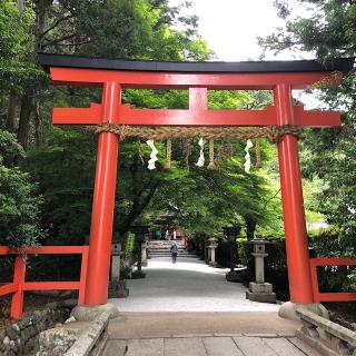 大田神社（賀茂別雷神社 第三摂社）の参拝記録(ワヲンさん)