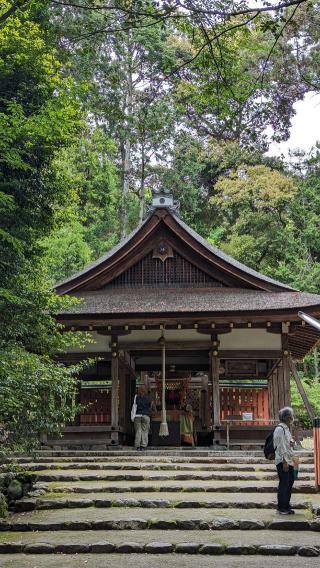 大田神社（賀茂別雷神社 第三摂社）の参拝記録(えのさんさん)