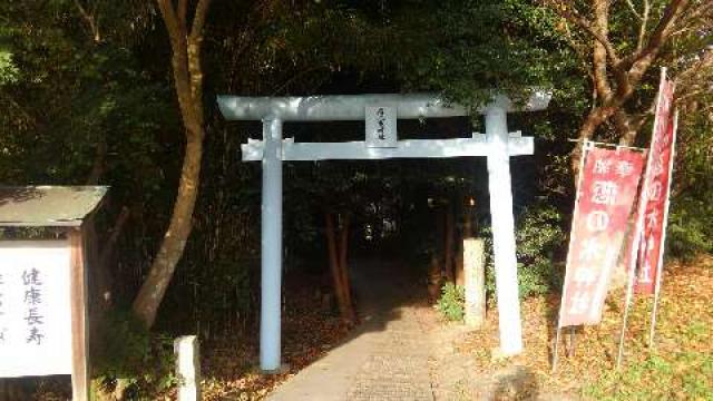 愛知県知多郡美浜町奥田中白沢92-91 恋之水神社の写真2