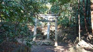 木嶋坐天照御魂神社(蚕の社)の参拝記録(のぶちゃんさん)