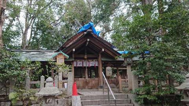 木嶋坐天照御魂神社(蚕の社)の参拝記録1