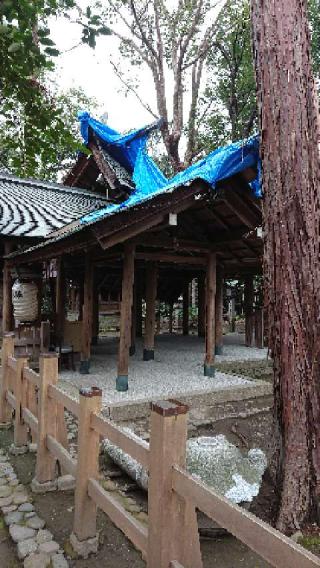 木嶋坐天照御魂神社(蚕の社)の参拝記録(のぶちゃんさん)