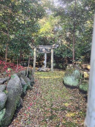 木嶋坐天照御魂神社(蚕の社)の参拝記録(みっちゃんさん)