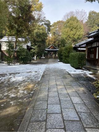 木嶋坐天照御魂神社(蚕の社)の参拝記録(senwayさん)