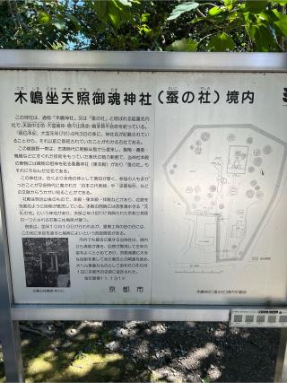 木嶋坐天照御魂神社(蚕の社)の参拝記録(坂口涼さん)