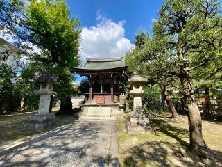 大酒神社の参拝記録(さくらさん)