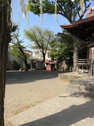 下丸子六所神社の参拝記録(⛩️🐉🐢まめ🐢🐉⛩️さん)