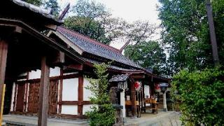 代田八幡神社の参拝記録(松さん)