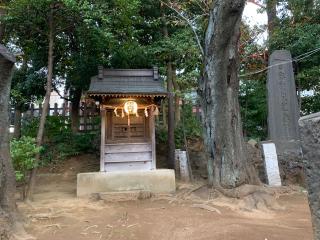 代田八幡神社の参拝記録(金髪しんちゃんさん)