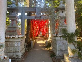 多田朝日森稲荷神社の参拝記録(さくらもちさん)
