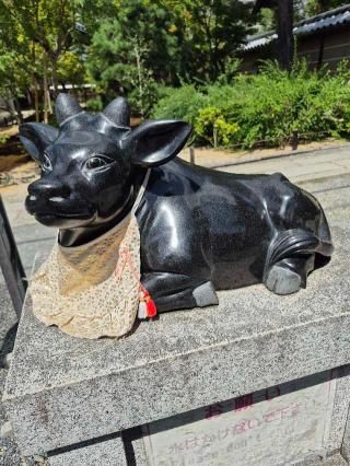 高台寺天満宮の参拝記録(ヒロ&ダディさん)