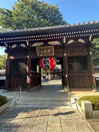 田無山 總持寺の参拝記録(こうさん)