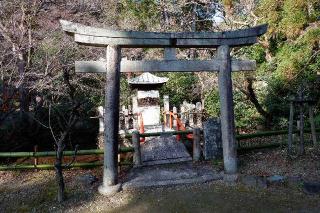 宝積寺閻魔堂の参拝記録(Ｔさん🍁さん)