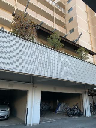 浜川神社の参拝記録(shikigami_hさん)