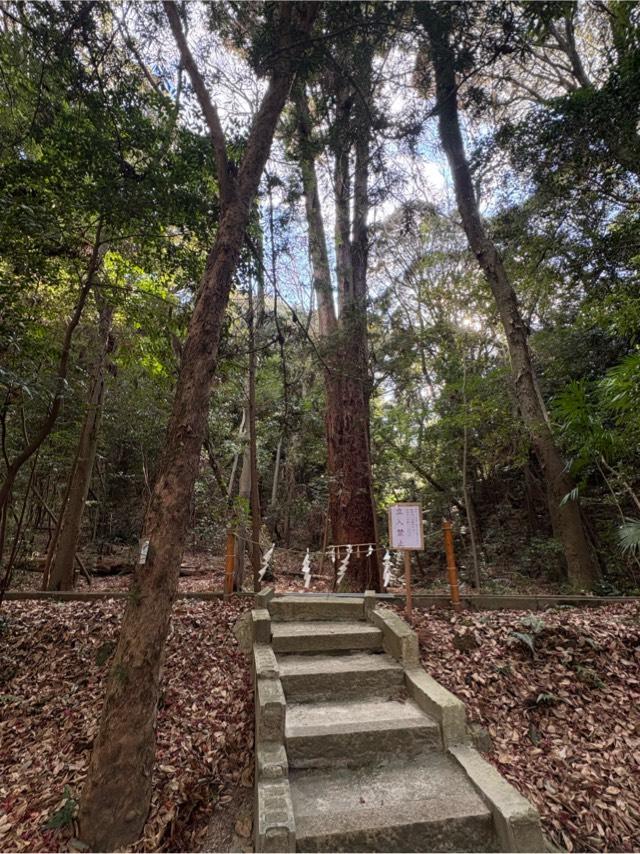 大阪府交野市星田9-60-1 星田妙見宮(小松神社)(星田神社境外摂社)の写真11