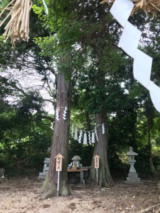 棚機神社の参拝記録(じゃすてぃさん)