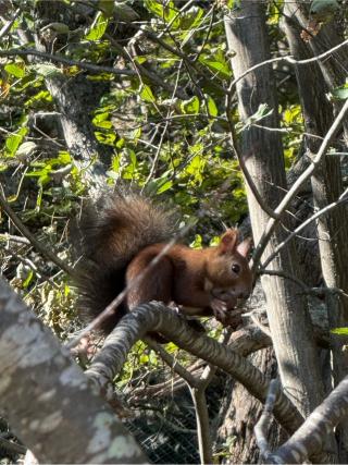 網走三吉神社の参拝記録(たけちゃんさん)