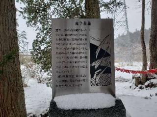 卯子酉神社の参拝記録(しんさん)