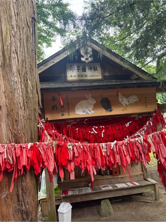 愛宕神社 境内社 卯子酉神社の参拝記録2