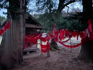 卯子酉神社の参拝記録(オーヒラさん)