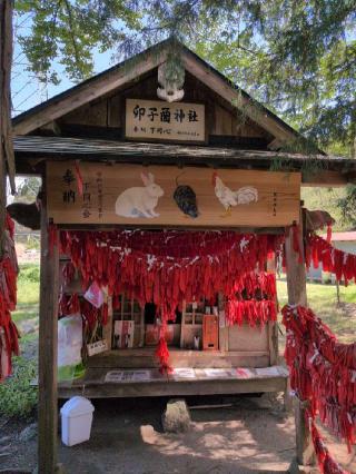 卯子酉神社（愛宕神社境内社）の参拝記録(SFUKUさん)