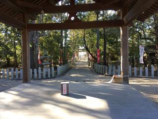 住吉神社(お松の宮)の参拝記録(すったもんださん)