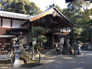 住吉神社(お松の宮)の参拝記録(すったもんださん)