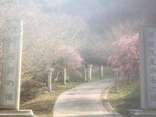 青海神社(煙ノ宮)の参拝記録(神祇伯さん)